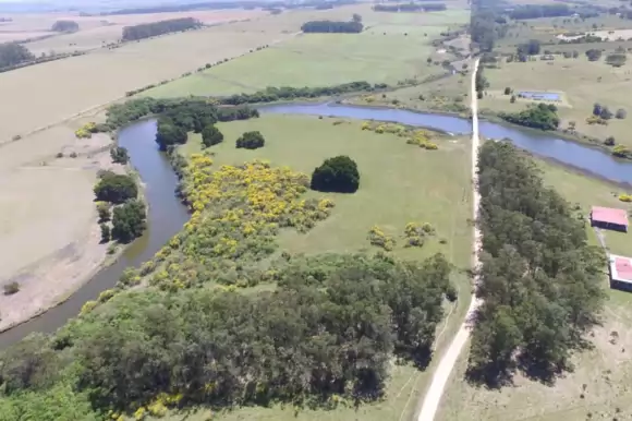 Portada chacras #1457 - Punta Ballena